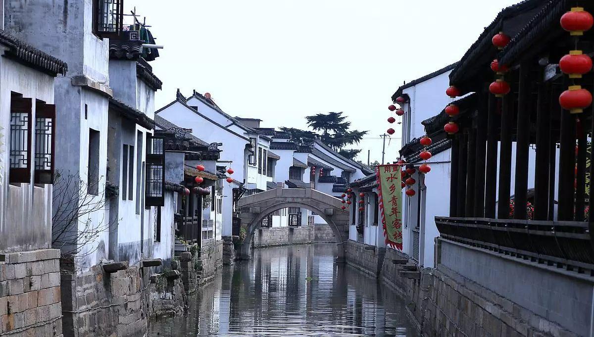 五彩鹦鹉救援